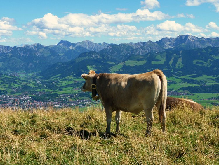 Betriebsratsschulung in Sonthofen
